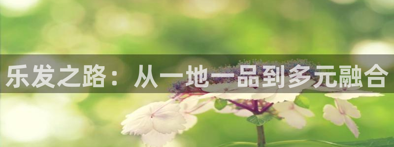 门徒娱乐哪个游戏好爆：乐发之路：从一地一品到多元融合