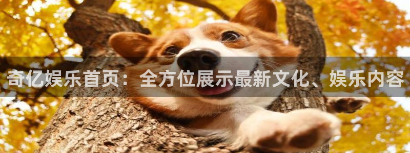 门徒娱乐主管：奇亿娱乐首页：全方位展示最新文化、娱乐内容
