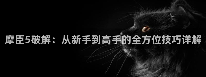 门徒娱乐游app：摩臣5破解：从新手到高手的全方位技巧详解