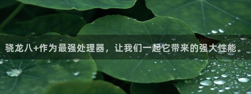 门徒娱乐体育平台总代理：骁龙八+作为最强处理器，让我们一起它带来的强大性能。