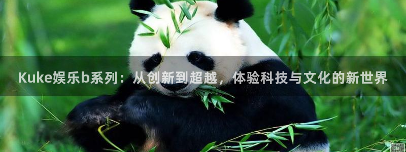 门徒娱乐下载入口：Kuke娱乐b系列：从创新到超越，体验科技与文化的新世界