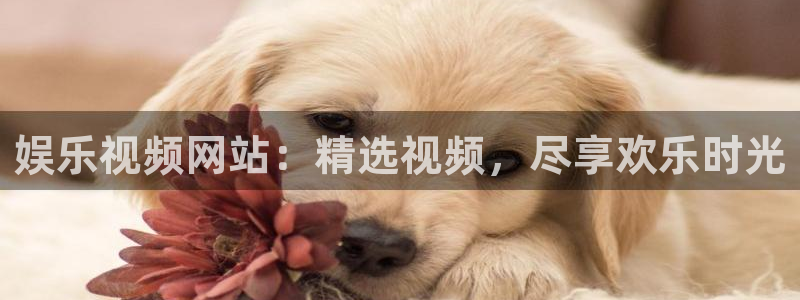 门徒娱乐app下载：娱乐视频网站：精选视频，尽享欢乐时光
