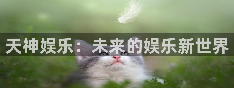 门徒娱乐体育注册代理：天神娱乐：未来的娱乐新世界