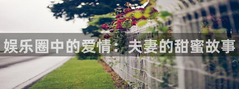 门徒娱乐.ccmpc正版：娱乐圈中的爱情：夫妻的甜蜜故事
