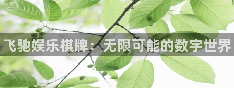 门徒娱乐手机版下载：飞驰娱乐棋牌：无限可能的数字世界