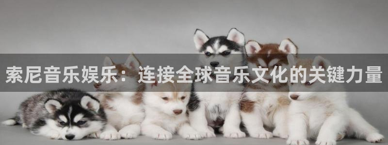 门徒娱乐.ccm官网版：索尼音乐娱乐：连接全球音乐文化的关键力量
