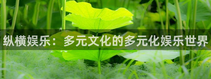 门徒娱乐游戏：纵横娱乐：多元文化的多元化娱乐世界
