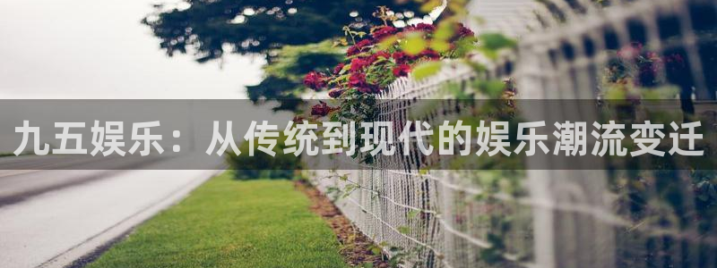 门徒娱乐游戏试玩：九五娱乐：从传统到现代的娱乐潮流变迁