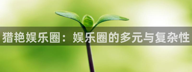 门徒娱乐凯捷开号链接：猎艳娱乐圈：娱乐圈的多元与复杂性