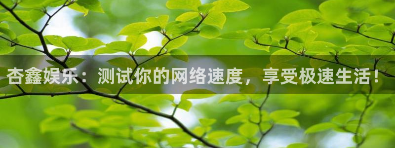 东莞市门徒娱乐电子科技有限公司：杏鑫娱乐：测试你的网络速度，享受极速生活！