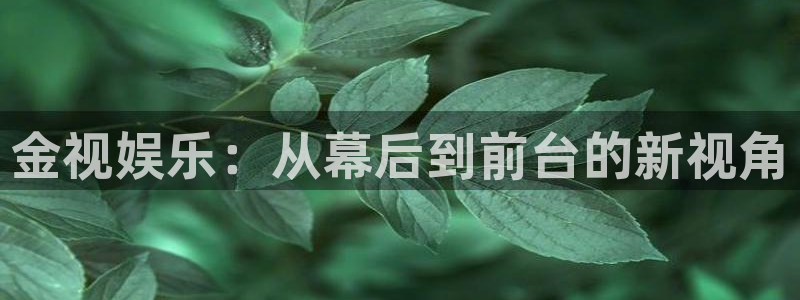 门徒娱乐体育f开号：金视娱乐：从幕后到前台的新视角
