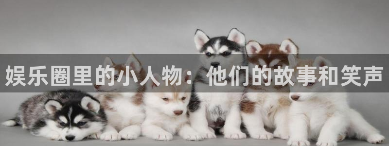 门徒娱乐体育用品：娱乐圈里的小人物：他们的故事和笑声