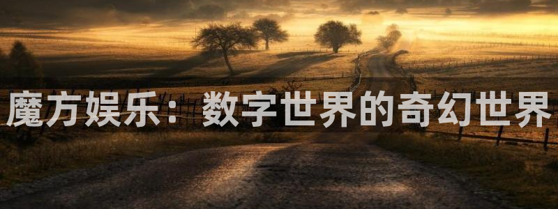 门徒娱乐股份：魔方娱乐：数字世界的奇幻世界