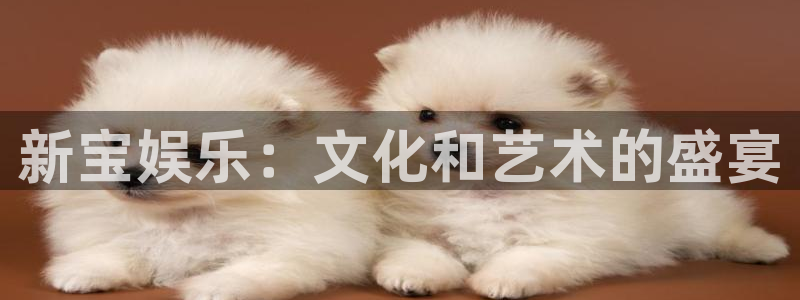 门徒娱乐游戏官网版：新宝娱乐：文化和艺术的盛宴