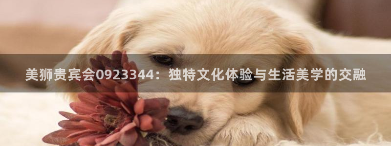 门徒娱乐平台注册账号：美狮贵宾会0923344：独特文化体验与生活美学的交融