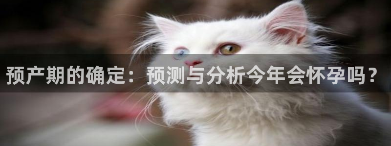 门徒娱乐2体育登录入口：预产期的确定：预测与分析今年会怀孕吗？