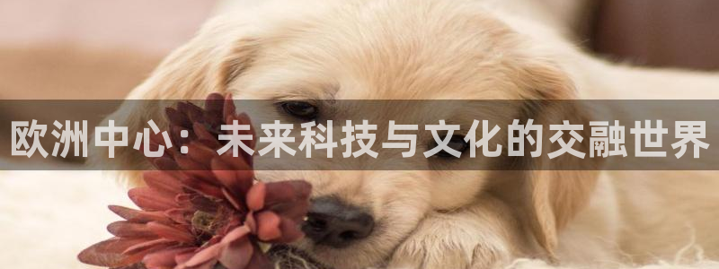 门徒娱乐能源：欧洲中心：未来科技与文化的交融世界