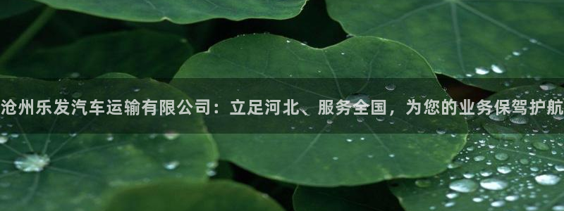 门徒娱乐quan28.cc：沧州乐发汽车运输有限公司：立足河北、服务全国，为您的业务保驾护航