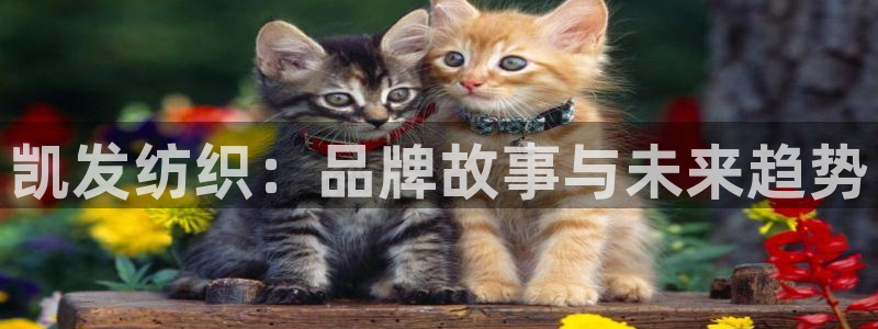 门徒娱乐2官网：凯发纺织：品牌故事与未来趋势