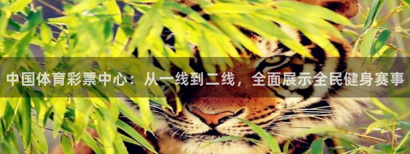 门徒娱乐平台官网版下载：中国体育彩票中心：从一线到二线，全面展示全民健身赛事