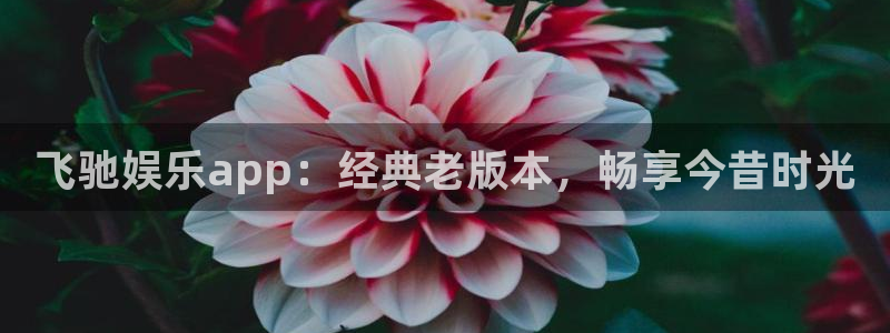 门徒娱乐体育合法嘛：飞驰娱乐app：经典老版本，畅享今昔时光