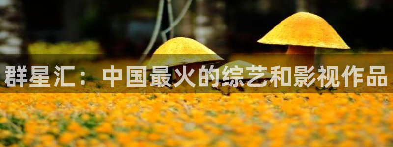 门徒娱乐注册网站：群星汇：中国最火的综艺和影视作品