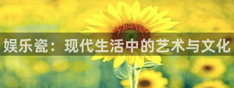 门徒娱乐是什么平台：娱乐瓷：现代生活中的艺术与文化