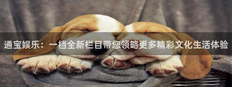 门徒娱乐在线预测：通宝娱乐：一档全新栏目带您领略更多精彩文化生活体验