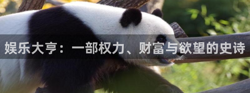门徒娱乐体育合法嘛：娱乐大亨：一部权力、财富与欲望的史诗
