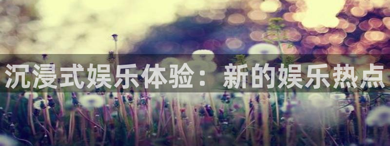 门徒娱乐4代理：沉浸式娱乐体验：新的娱乐热点