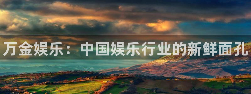 福建门徒娱乐机电股份公司：万金娱乐：中国娱乐行业的新鲜面孔