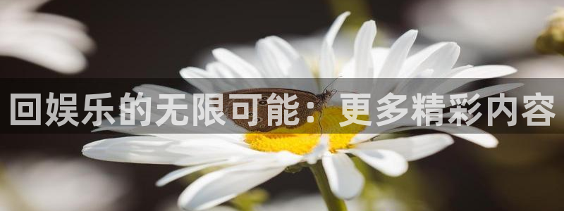 门徒娱乐注册：回娱乐的无限可能：更多精彩内容